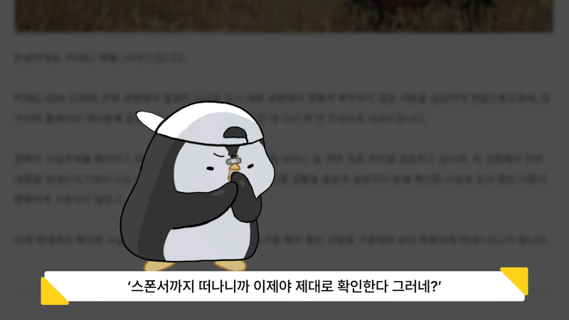 레전드 후속조치에 스폰서 철회 중인 PUBG 대회 (24)