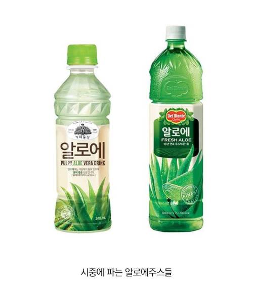 대부분 모르는 알로에 주스 비밀.jpg 작성시간