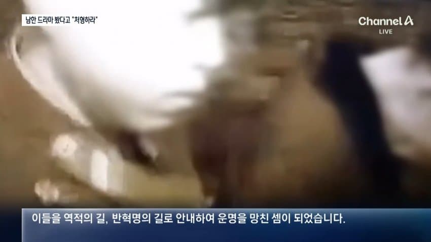 "한국 드라마 본 것 후회" 흐느낀 북한군…영상 보니 (13)
