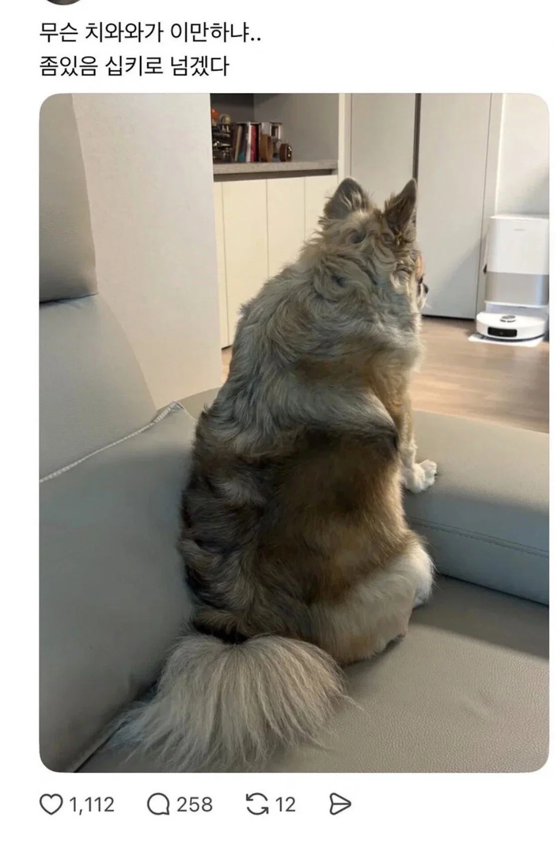 맘마를 맛있게 먹은게 분명한 아기냥이 (2)