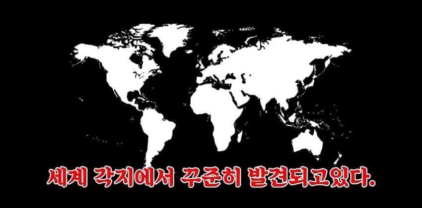 해리성 정체성 장애 (11)