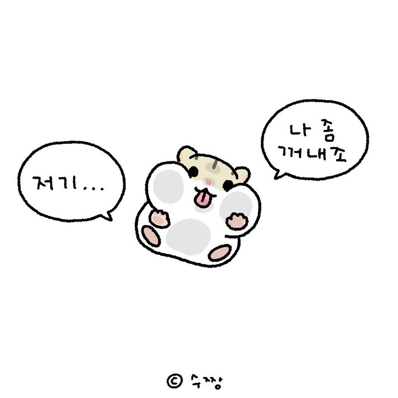 야비군 2일차 기념 햠스타 (9)