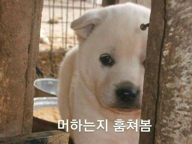 lwUzRJ