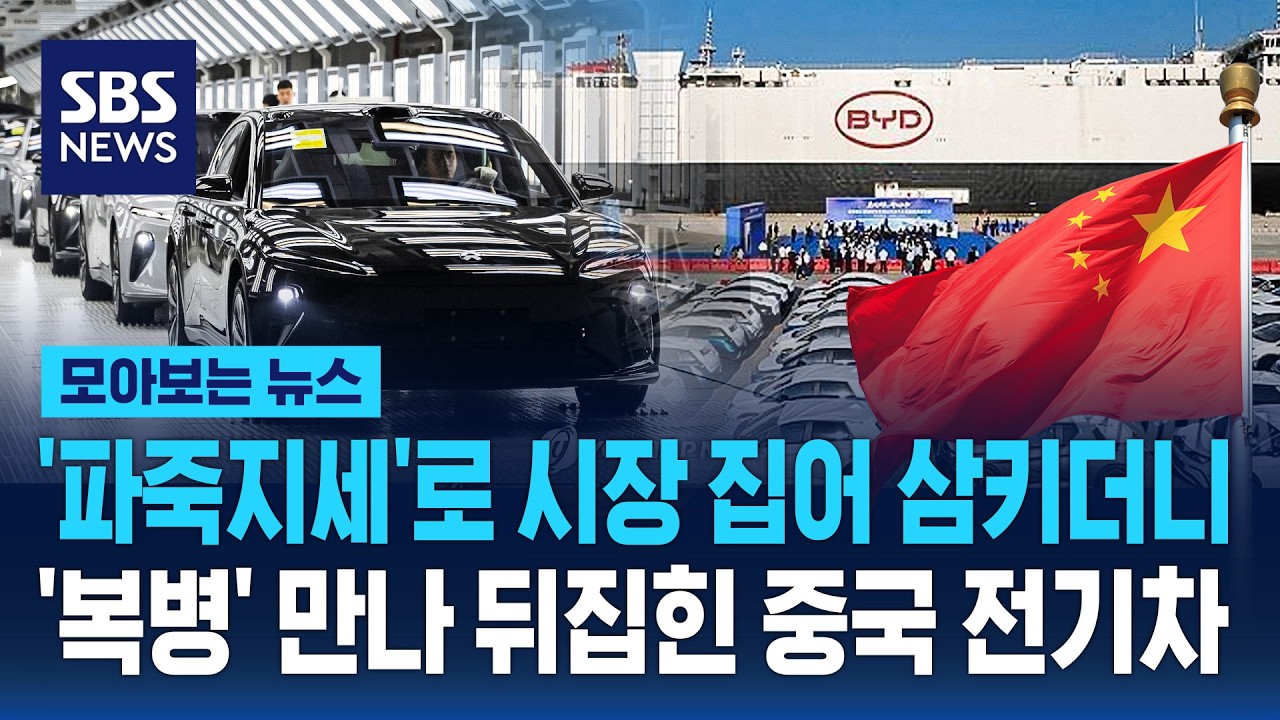 '파죽지세'로 시장 집어 삼키더니..'복병' 만나 판 뒤집힌 중국 전기차 (7)