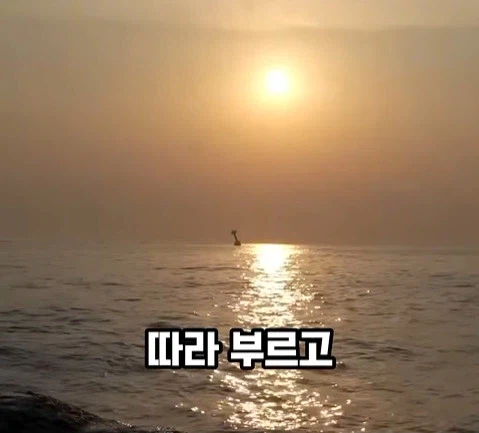 BTS의 국위선양, 이런 게 국위선양이지. (29)