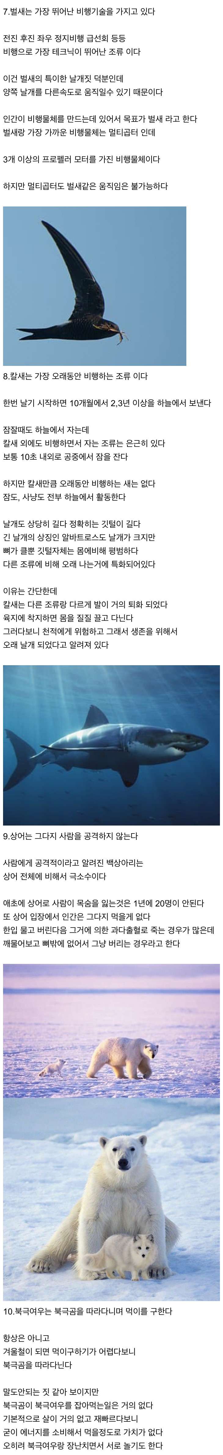 신기한 동물 지식 10가지 (3)