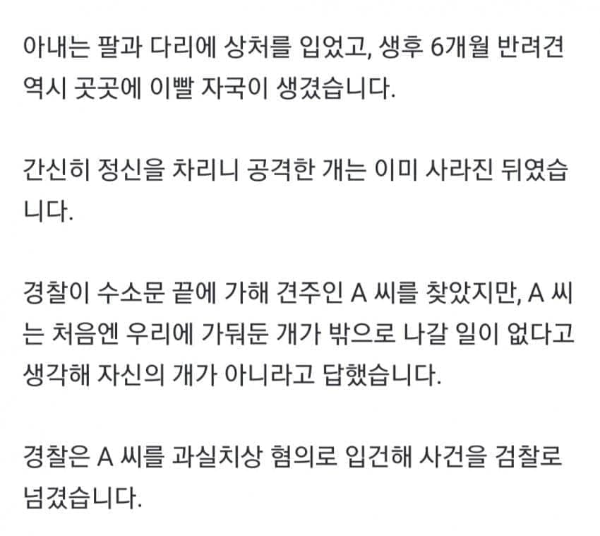 약혐) 안싱글벙글 보더콜리 물림 사고.. (4)