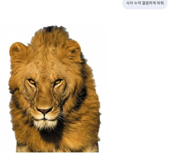 예전에 포토샵 학원에서 배운게 현타오네