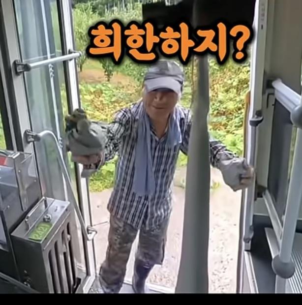 시골 카르텔 (6)