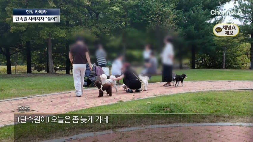 채널a) 단속원 퇴근하자...공원이 '개판' (18)