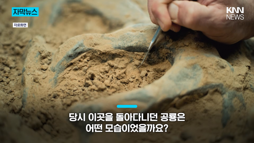 공사장에서 1억 년 전 초대형 공룡 발견 (3)