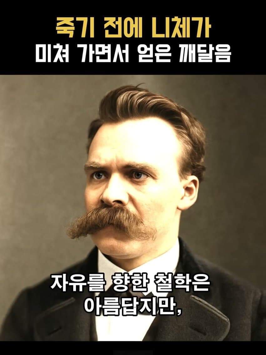 ㅂㅅㅂㅅ 니체가 죽기 직전에 미친 이유 (14)