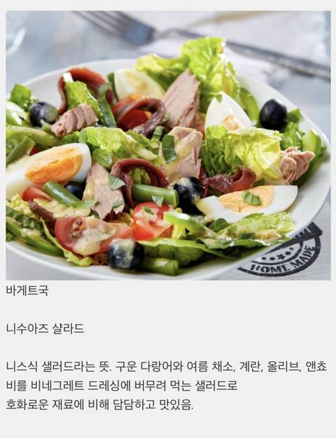 전 세계 나라들의 대표 샐러드