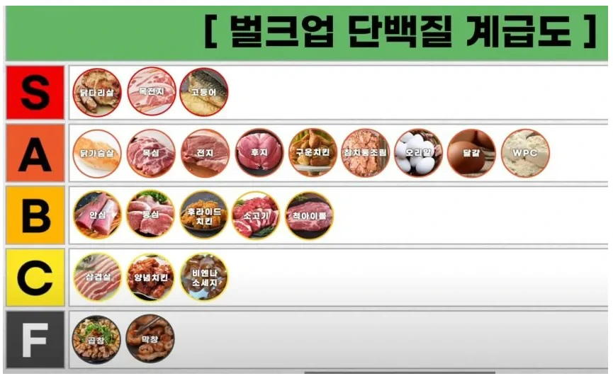 벌크업 단백질 계급도