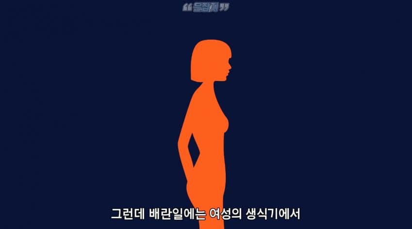 남자들은 잘 모르는 냉 이라는 것에 대하여 (11)