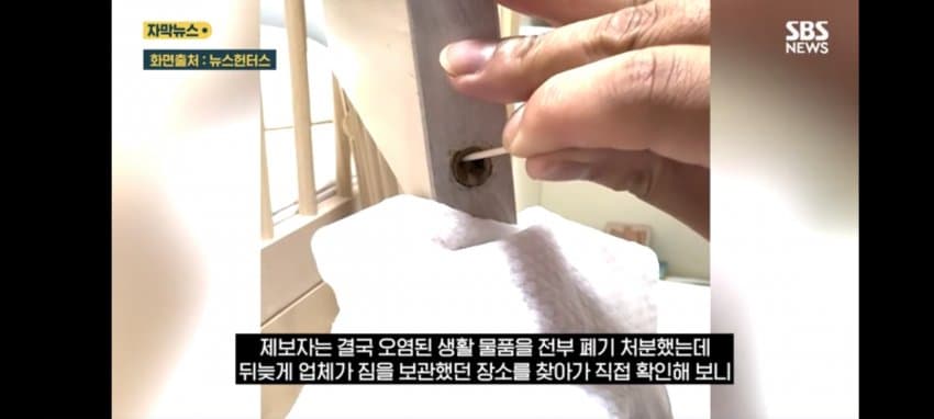 보관이사 맡겼다가 곰팡이, 벌레로 가구 다 망가진 제보자 (16)