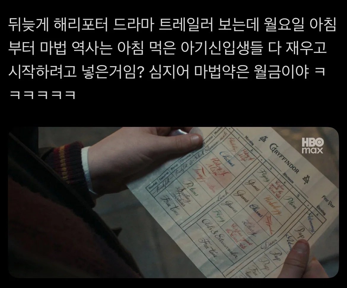 해리포터 드라마를 대하는 머글과 찐팬 (6)