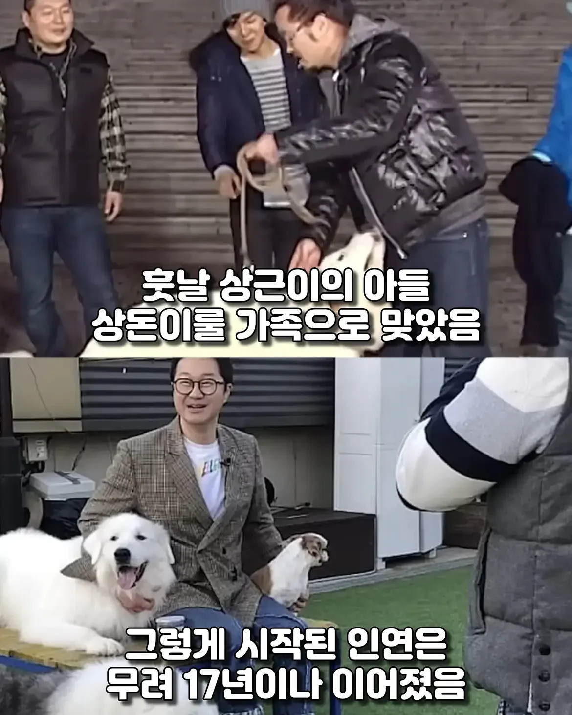 싱글벙글 17년동안 고마웠어요 힘겹게 버티던 댕댕이가 마지막까지 기다 (4)