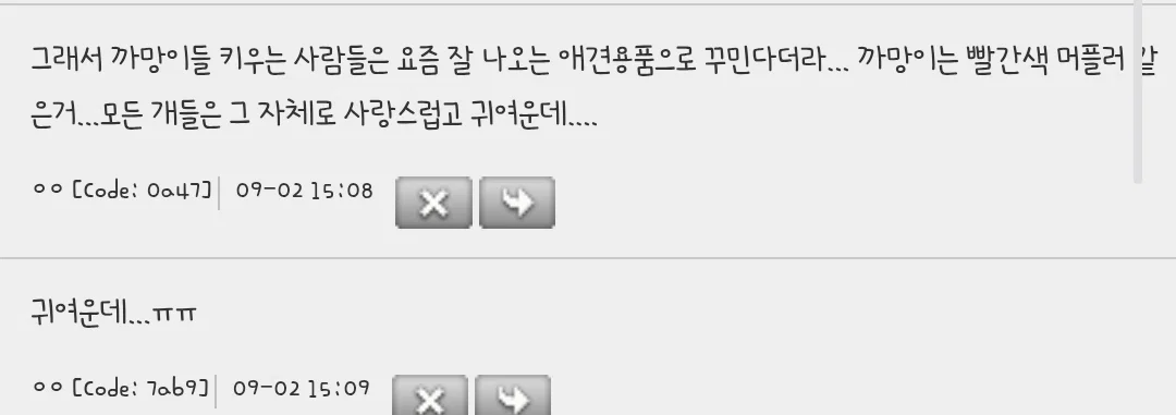 검은 개는 분양 인기 제일없다는게 속상함 ㅜㅜㅜ (2)