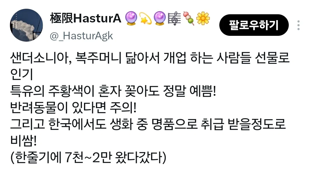 요즘 중국에서 생화계의 에르메스라 불린다는 꽃 (7)