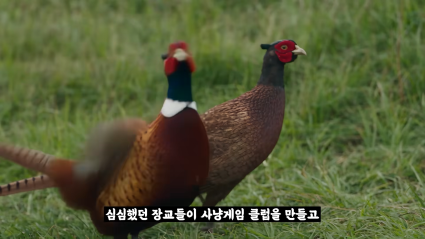 왜 거문도에는 영어 사투리가 존재 하는 걸까? (35)