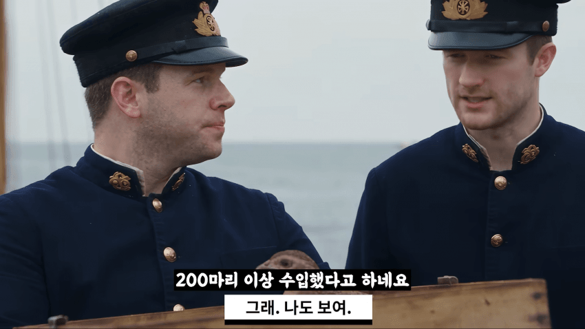 왜 거문도에는 영어 사투리가 존재 하는 걸까? (44)
