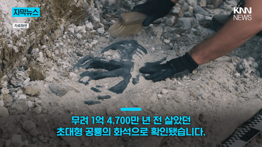 공사장에서 1억 년 전 초대형 공룡 발견 (2)