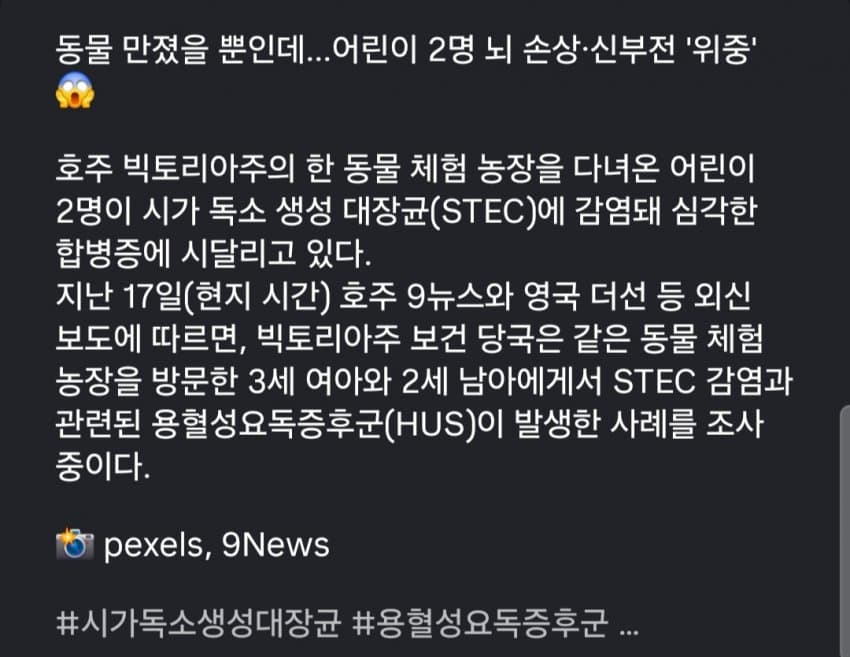동물 만졌을 뿐인데... 어린이 2명 뇌 손상, 신부전 '위중' (7)
