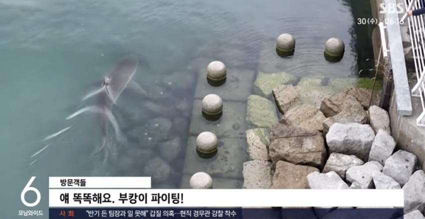 싱글벙글 부캉이 생각에 우는 부산 할배 (26)