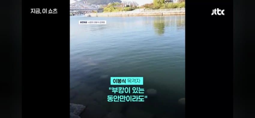 "우럭 먹자~" 부캉이에 생선 투척한 부산 시민 (13)