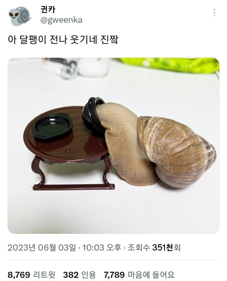 자랑스런 대한민국 국적임을 몸소 증명하는 달팽이