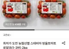 스테비아 방울토마토 로얄과(1-3번) 2kg