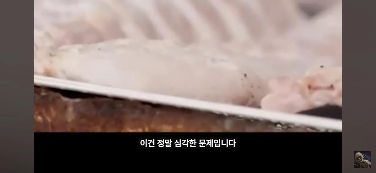 더본코리아 고소에 무혐의 유튜버 '탐코'가 말하는 백종원과 위생 (9)