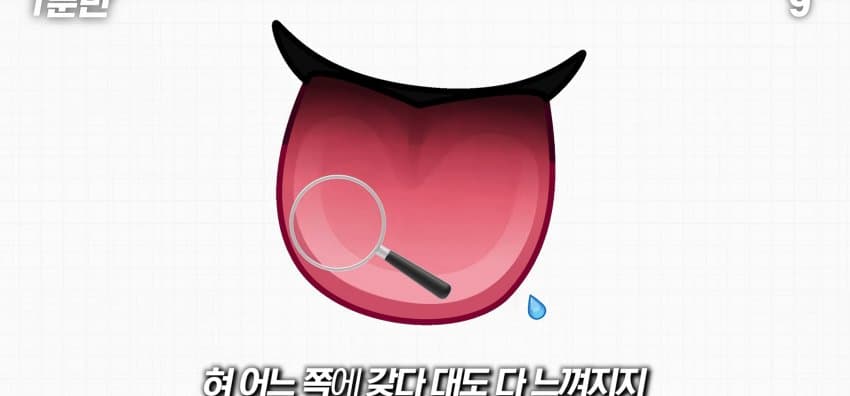 학교에서 배운 '혀 맛' 지도가 잘못됐다..? (35)