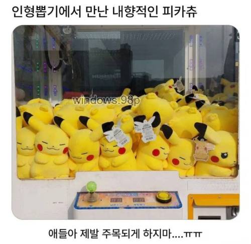 내향성 피카츄