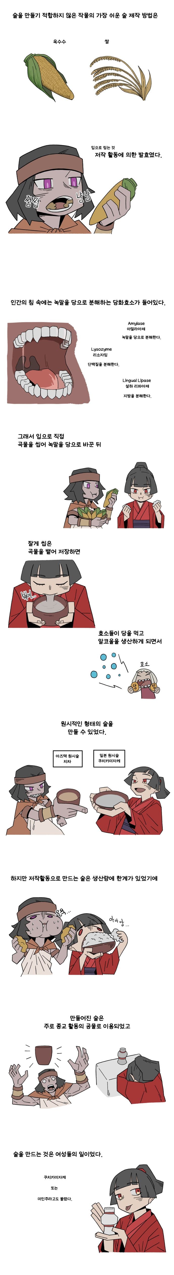 음식 인문학 만화 시즌2) #8. 사케(1) 사케의 탄생 (2)