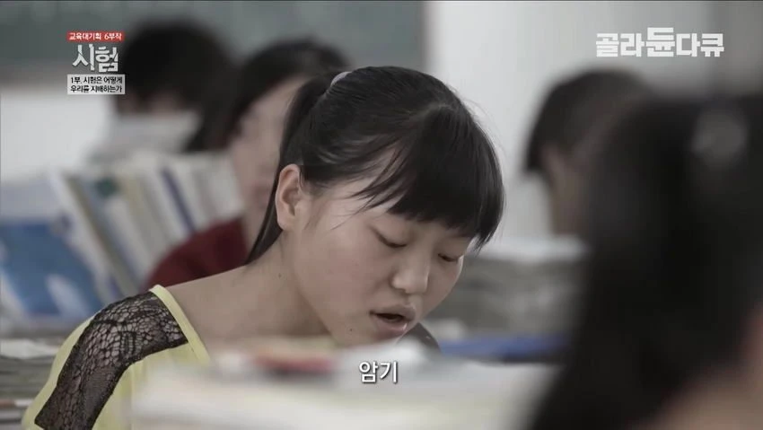 [스압] 중국의 입시 지옥 (16)