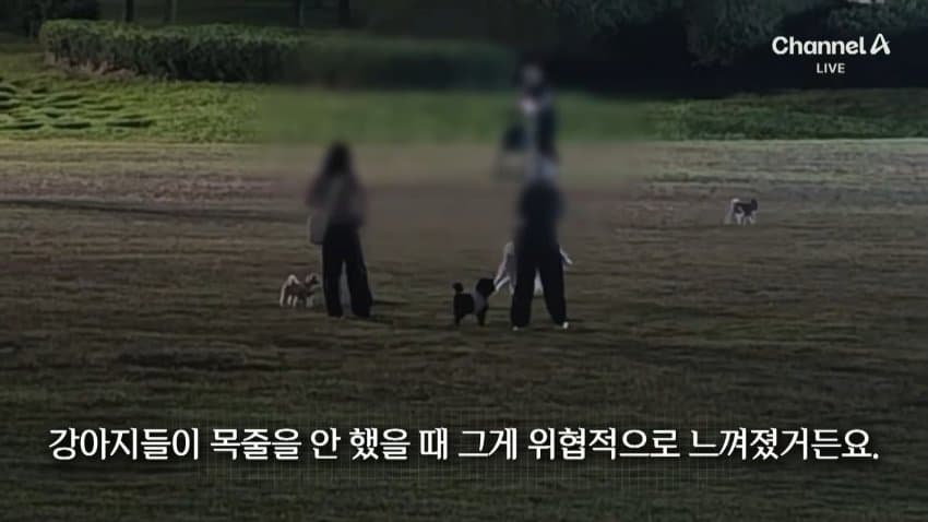 채널a) 단속원 퇴근하자...공원이 '개판' (36)