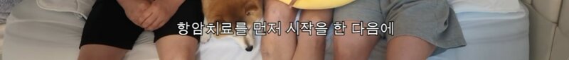 갑작스런 대장암 4기 진단.. (7)