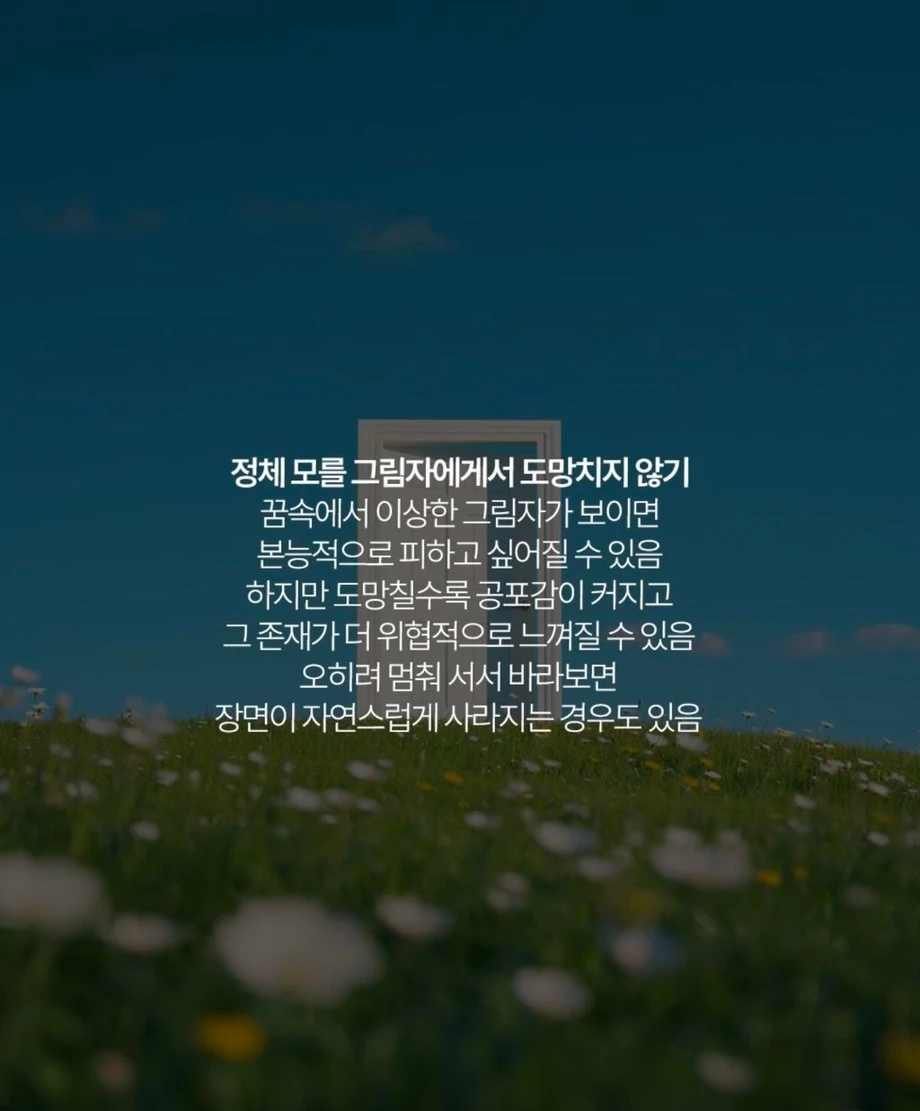 [스압] 자각몽을 꿀 때 해선 안 되는 행동들 (8)