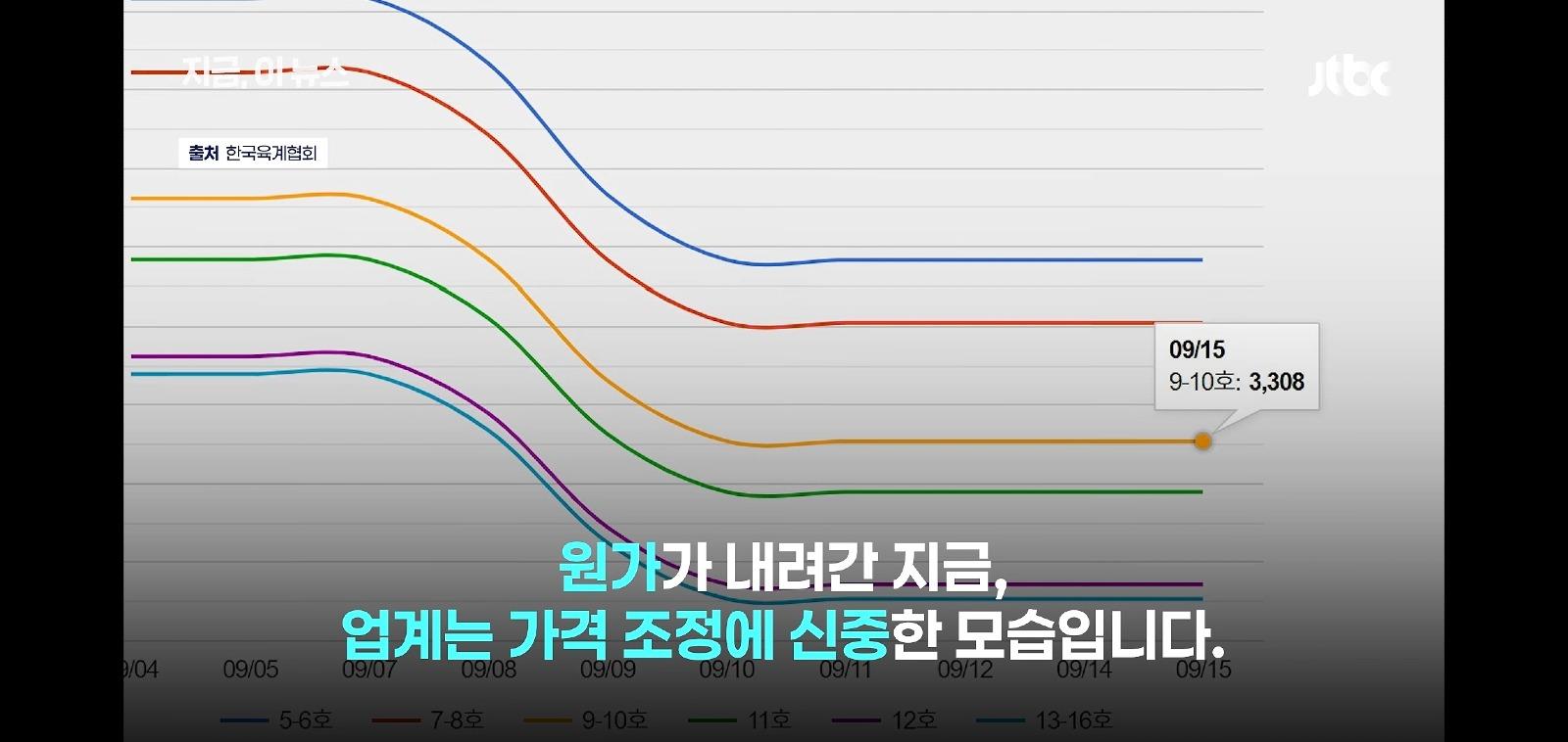 닭값 40% 떨어졌는데 치킨값은 그대로 (11)