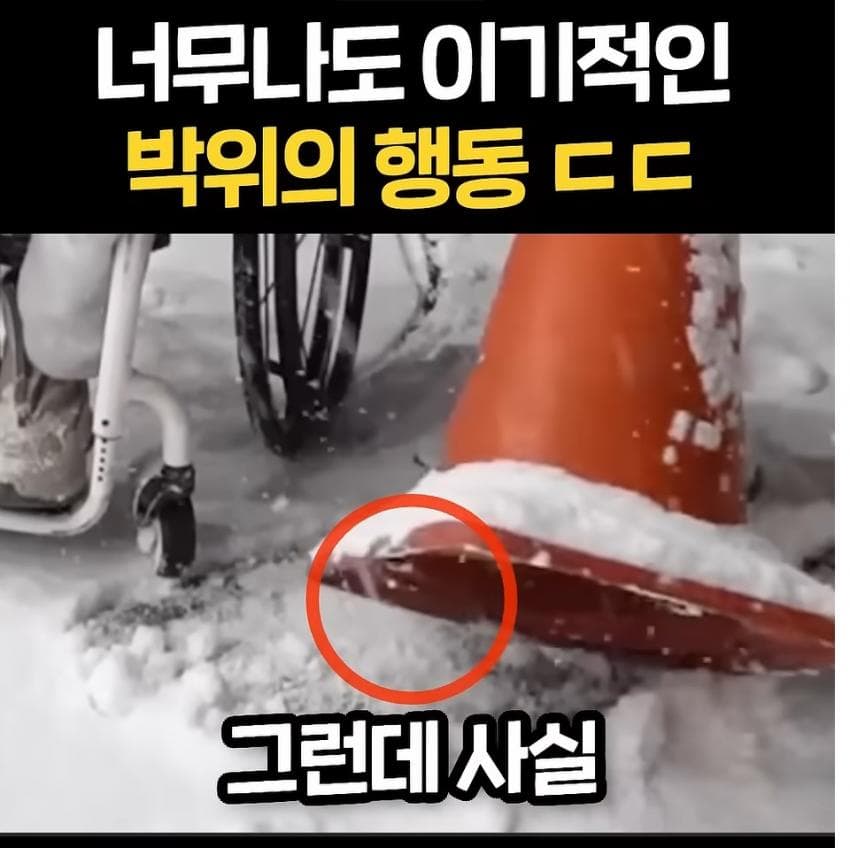 박위 선한 영향력 ㄷㄷㄷㄷㄷ (4)