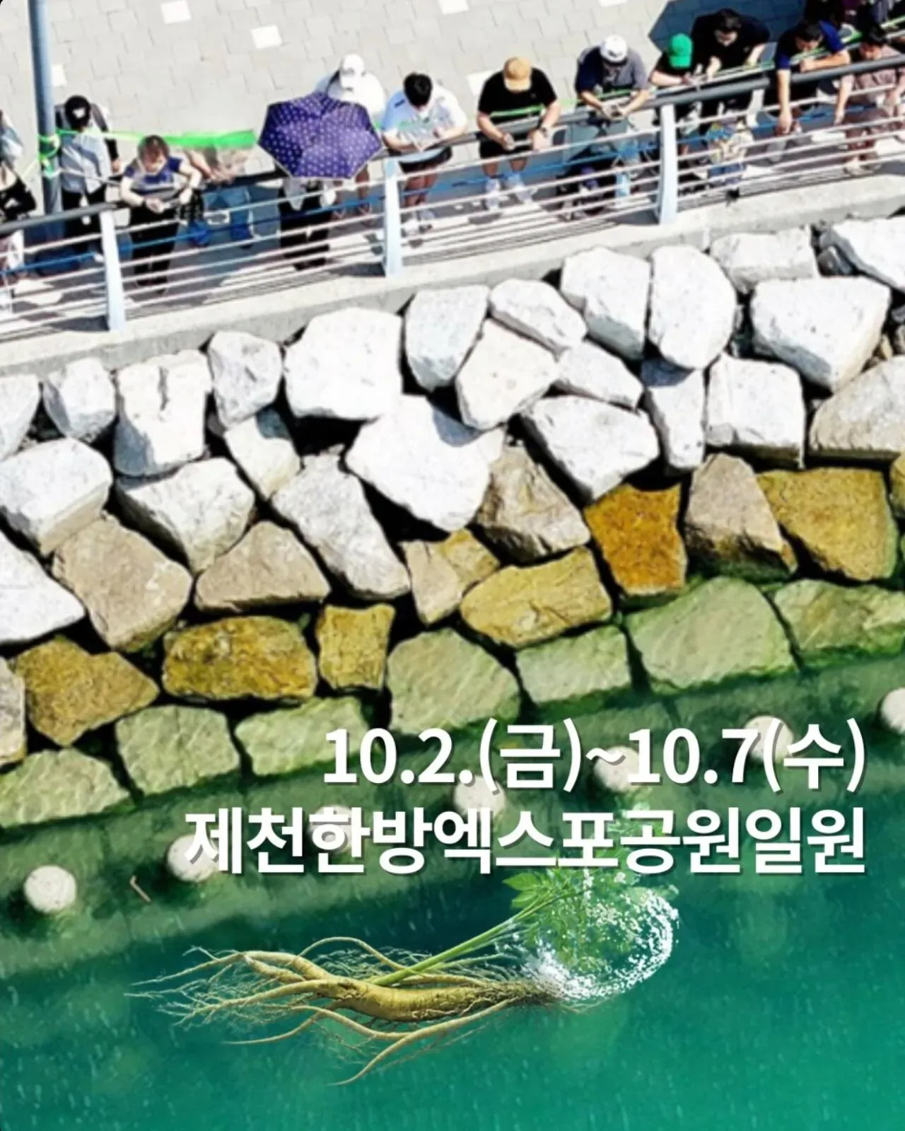 북항 부캉 인파가 부러웠던 충북 제천시 (2)