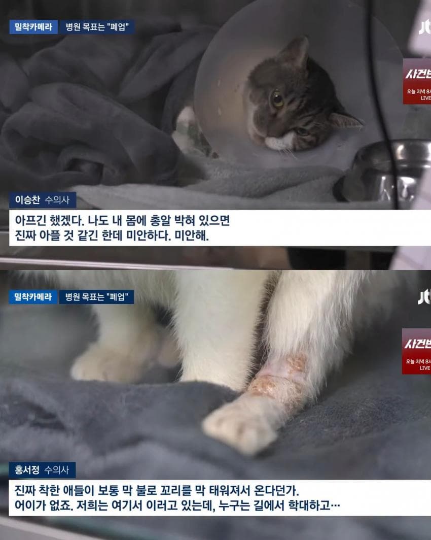 진료비 천 원이라는 동물병원 (3)