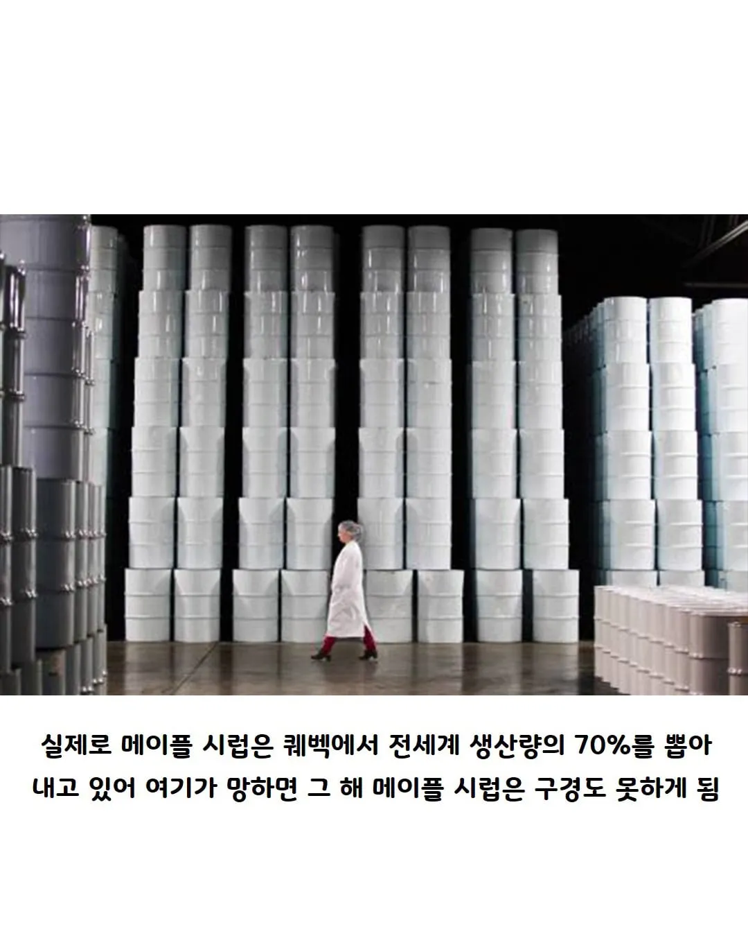 캐나다의 전략 물자 (4)