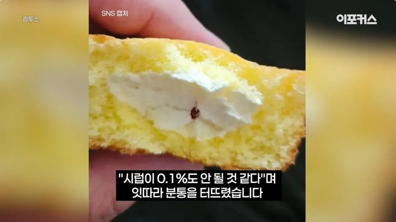 포장지 사진과 너무 달라서 논란이 된 신상 과자. (10)