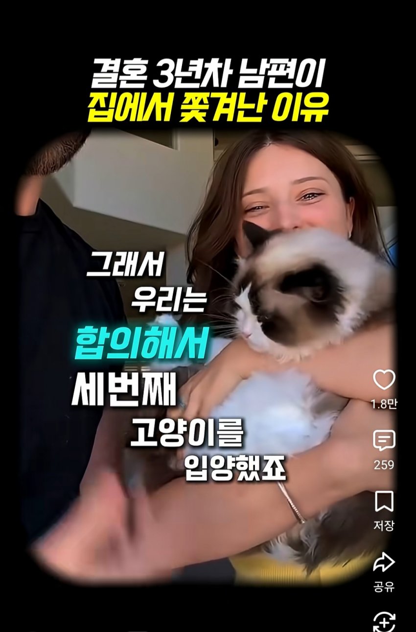 훌쩍훌쩍 부부의 반려동물 고르기촌 (9)