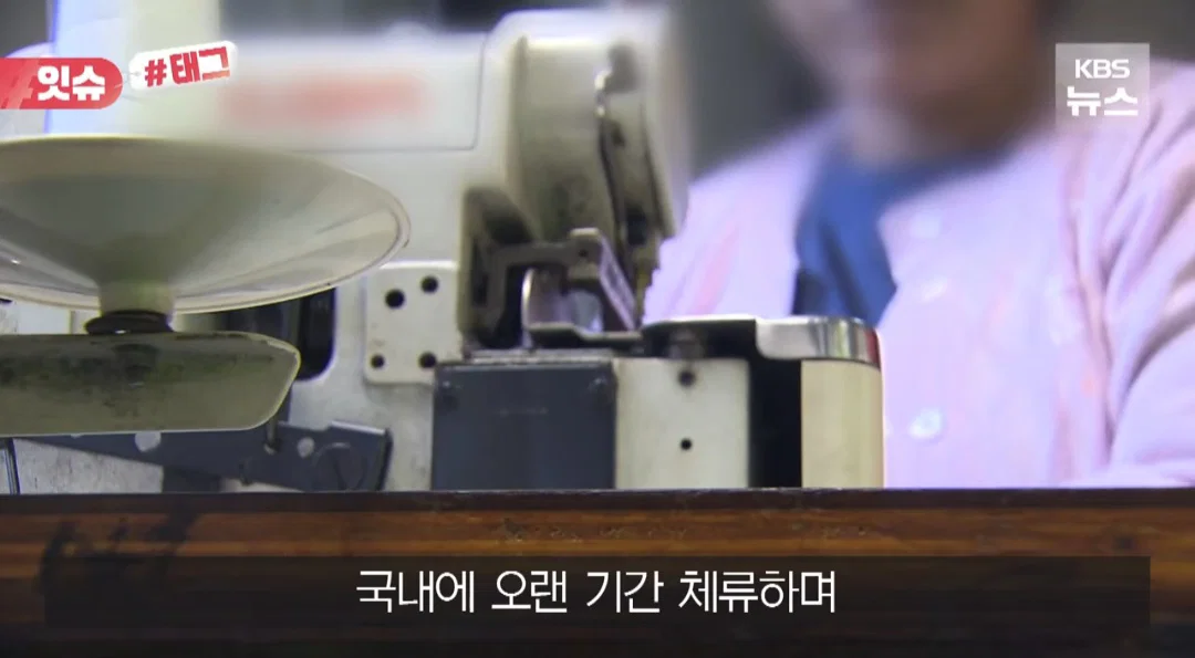 중국인이 실업급여 싹쓸이 했다고 보도한 KBS (2)