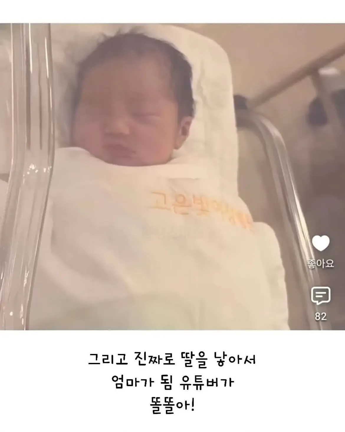 세상 떠난 반려견이 딸로 돌아온거 같다는 유튜버 (17)