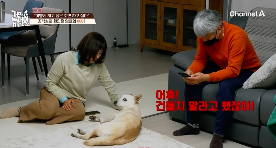 개늑시에 나오는 문제견 견주 특징 (7)
